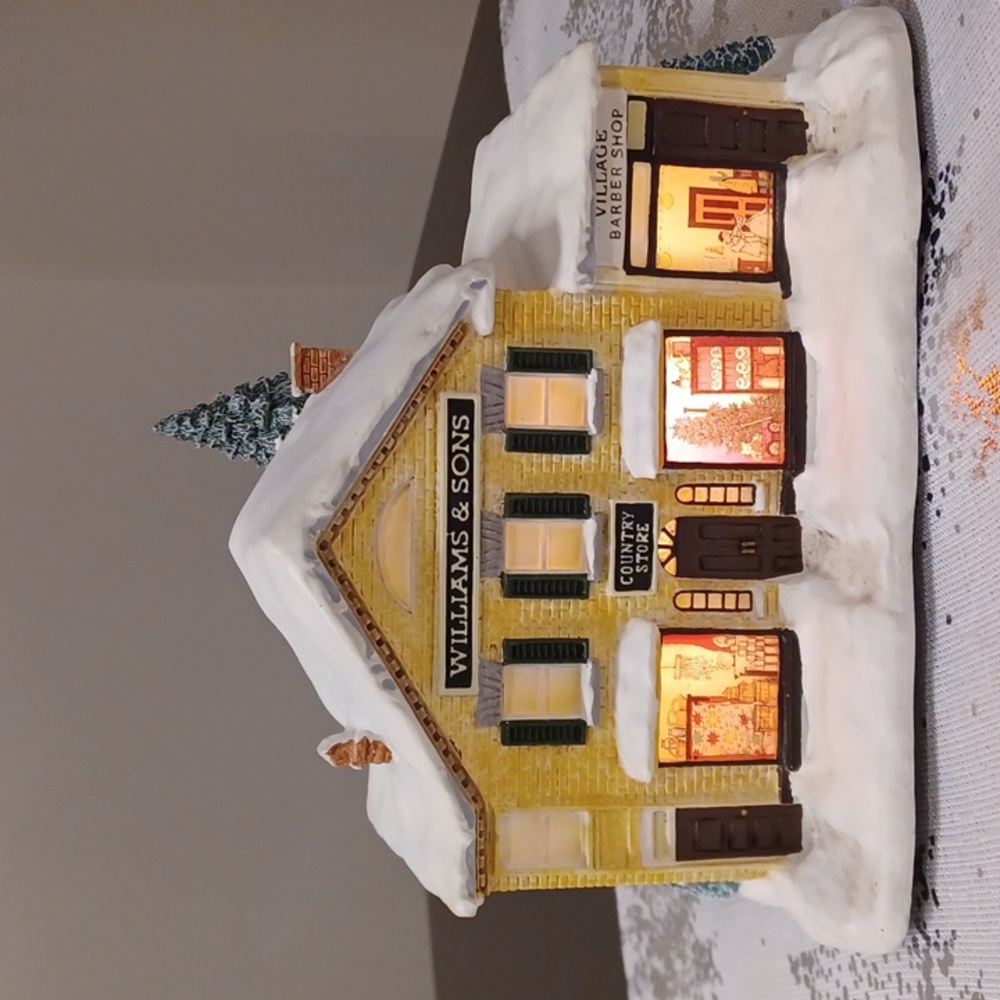 Thomas Kinkade Village Christmas Collection Williams & Sons Store Light Up House